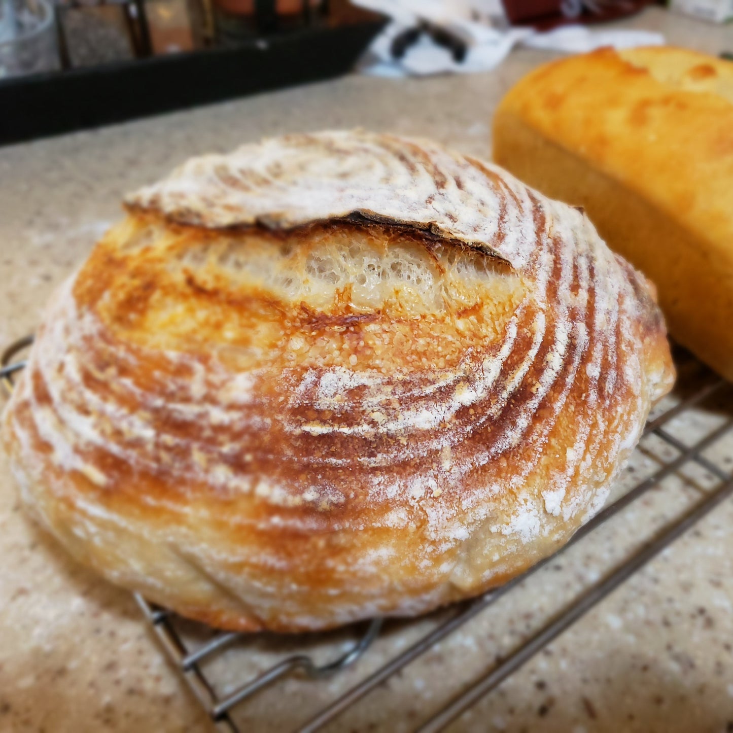 Khorasan White Sourdough
