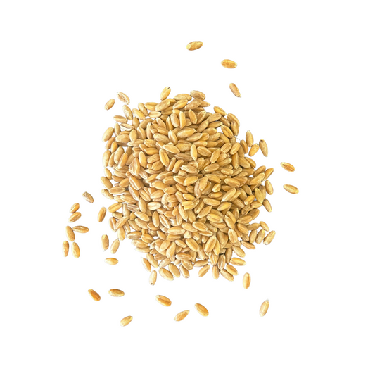 FREE! Storing Grains and Flour