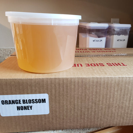 Orange Blossom Honey (Raw/filtered) - 5lb tub.  Local UT pickup only. image 0