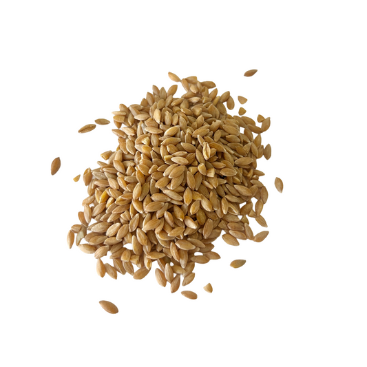 Einkorn Berries (organic)